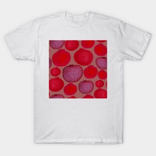 Fresh Pomegranates T-Shirt